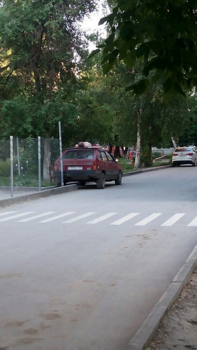 14 человек, которые определенно знают толк в пляжном отдыхе