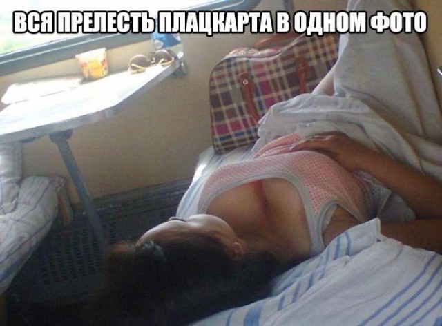 Порция картинок из сети