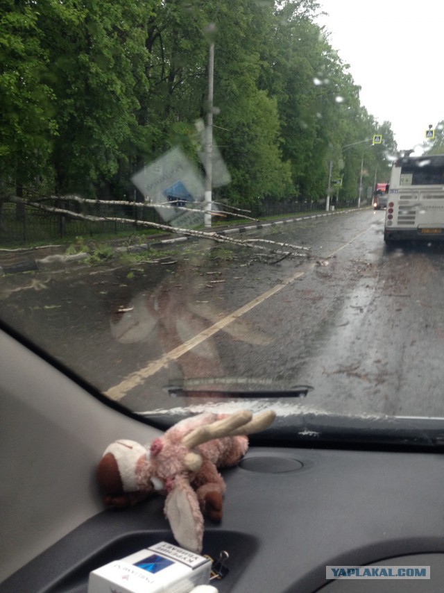 В Москве ураган!