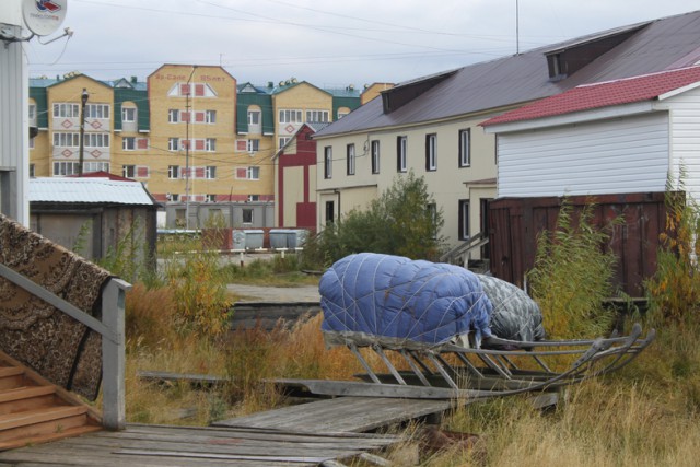 Ямальский загар
