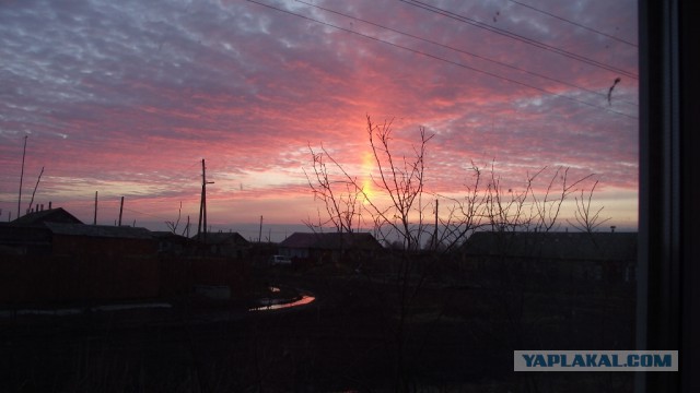 Просто Природа