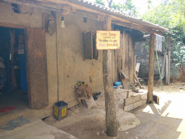 К живым мостам и обратно. Заметки из Индии