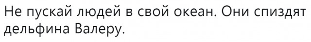 Подборка интересных и веселых картинок