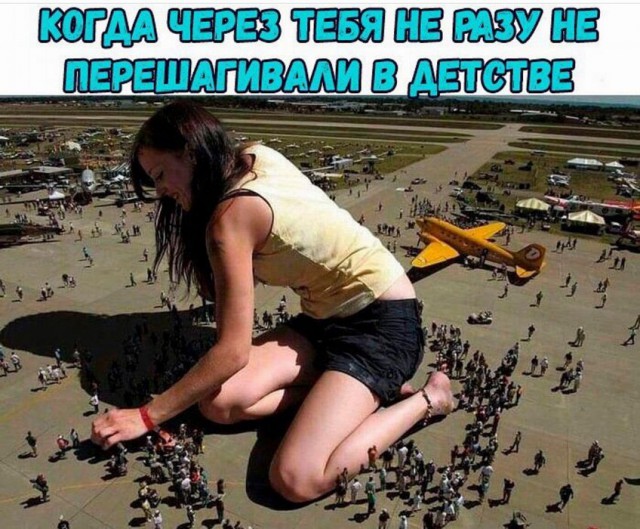 Гуляй, черноголовые