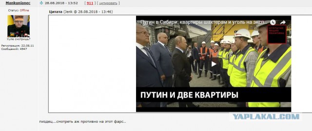 Киберстукачи. Кибердружина копирует мемы с ваших страниц в соцсетях и пишет заявления в полицию - взгляд изнутри