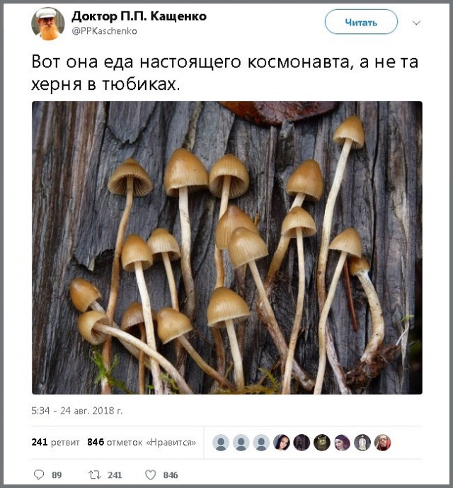 Адекват - не наш формат!