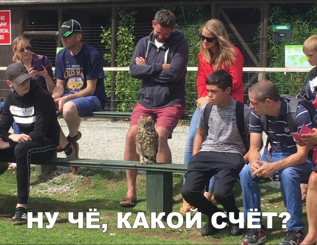 Нестандартный юмор