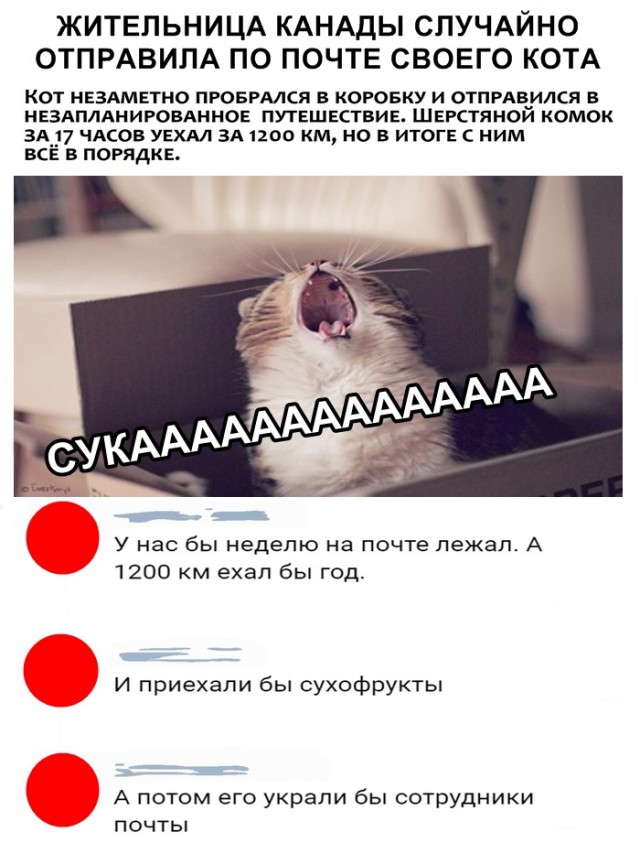 Немного картинок в это воскресенье