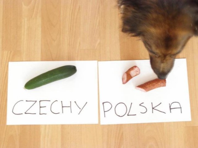 Чтобы уж наверняка