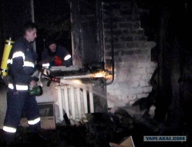 Болонка спасла жизнь своему хозяину