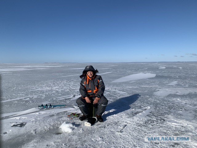 Весна, ждем рыбалки по открытой воде.
