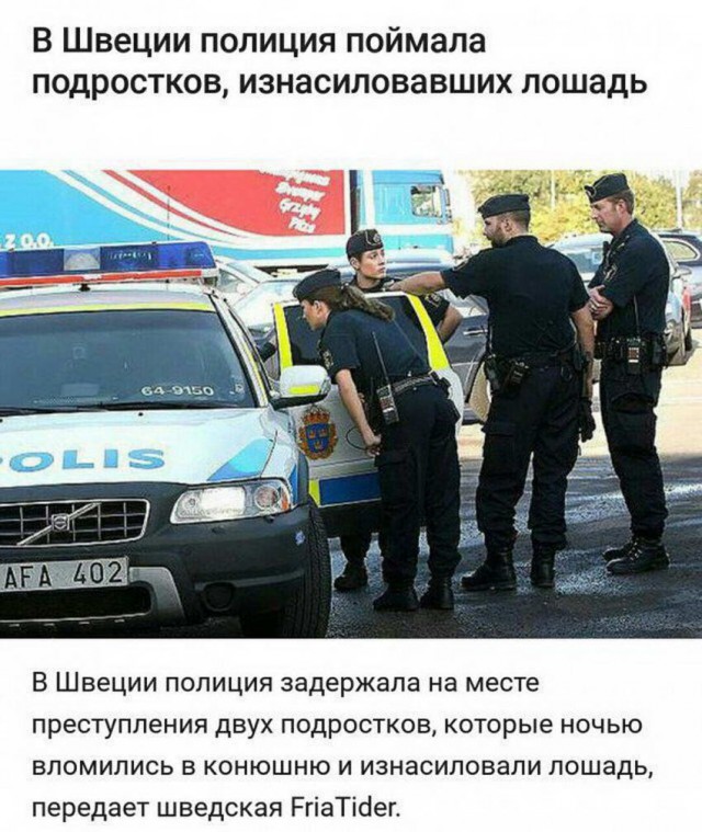 Чуток картинок 13.06.19