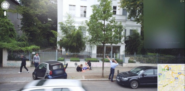 Google Street View показал топ-10 животных, случайно попавших в кадр