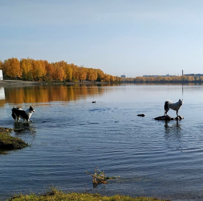 Сам себе фотограф