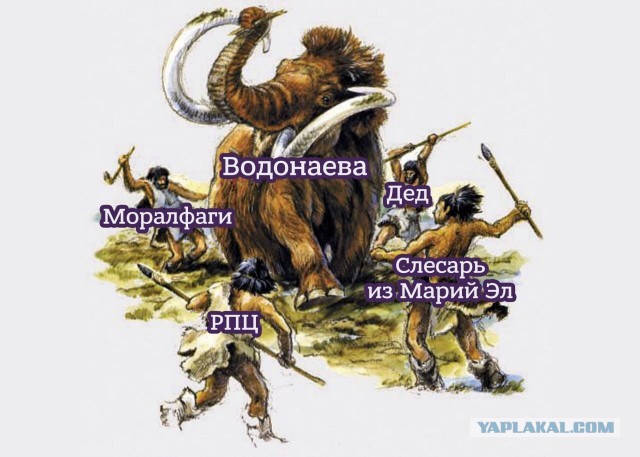 Вот оно как, оказывается! В словах Алёны Водонаевой о «рожающем быдле» экстремизма нет