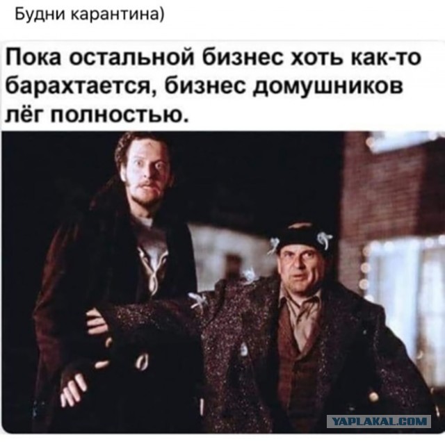 Бредзона 20.04.2020