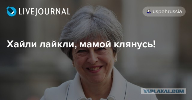 Фабрика ужаса «отряда 731»: биологическая война по-японски