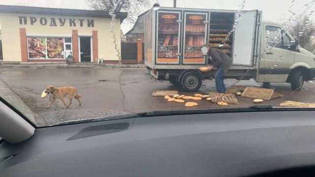 Плохой хлеб или его хранение?