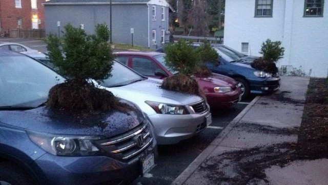 Калейдоскоп картинок