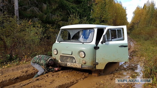 Мемуары Программиста: Первые два месяца владения электромашиной. Обзор