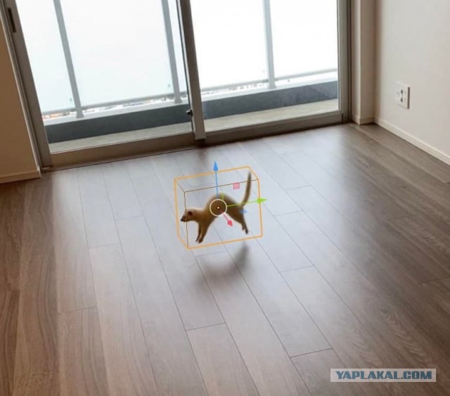 Весёлый полтишок 25.06.