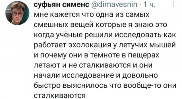 Картинки и мемы для настроения 006