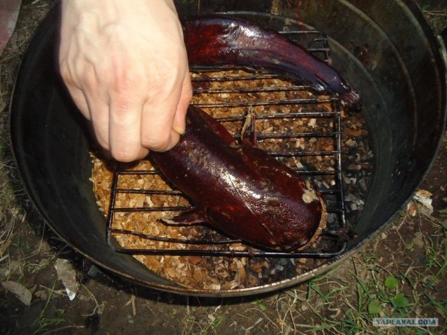 КопчуЮшки