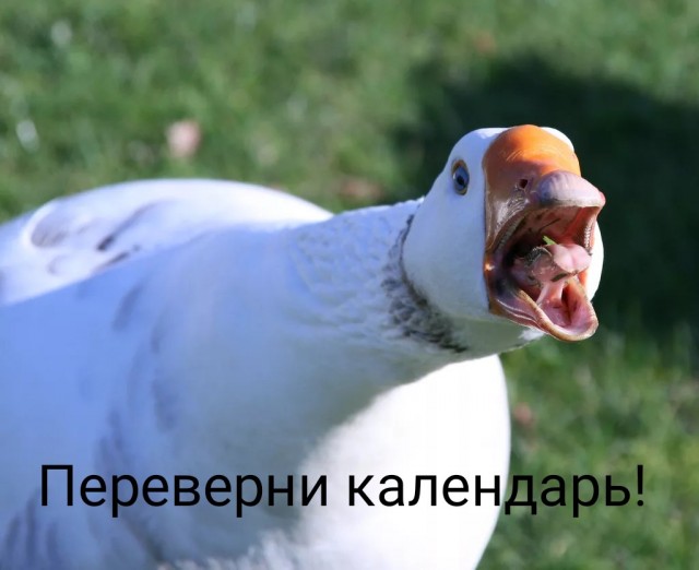 "Сажай правильно!"
