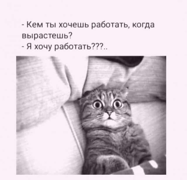 Так себе картинки 15.09.21