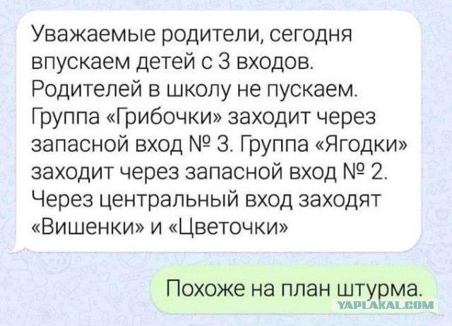 Весёлый полтишок 07.11