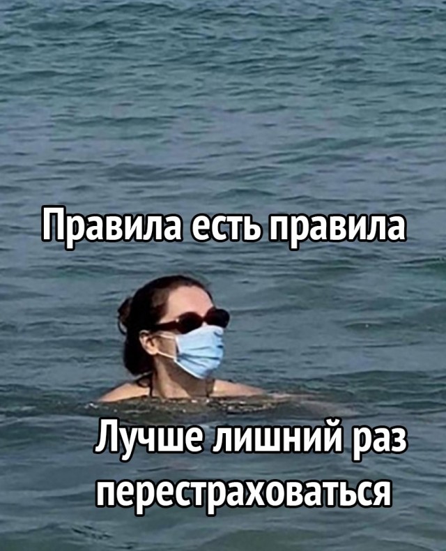 Всяческие картинки 10.12.2021