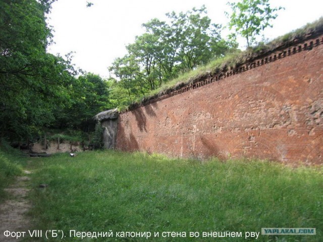 Форты Бреста