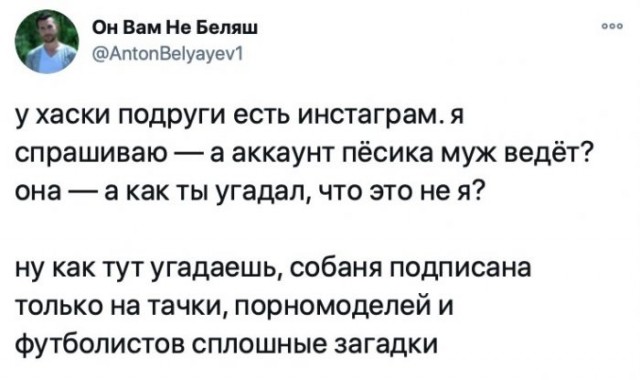 Человек собаке друг и другие картинки под настроение 13.01.2022