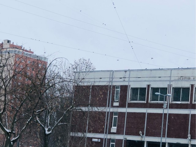 В Питере пить