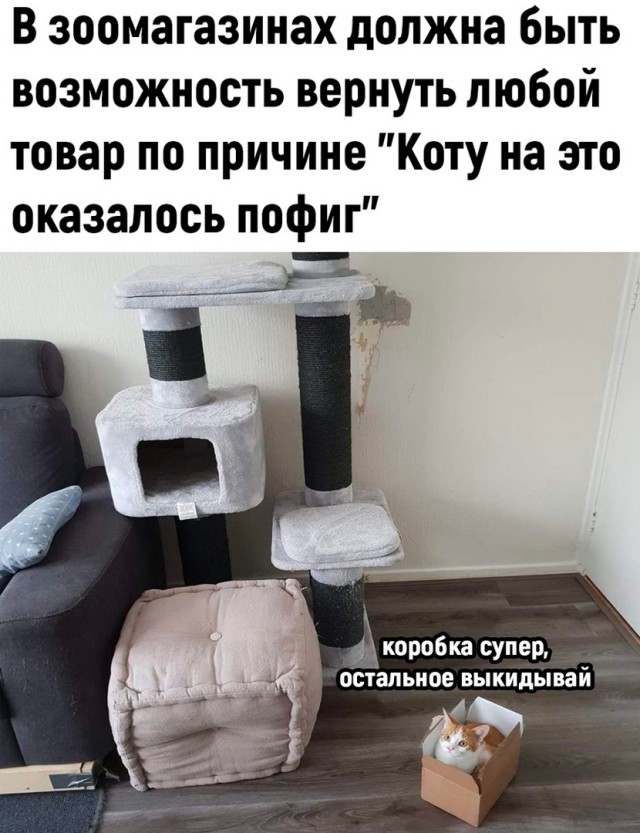 Так себе картинки 03.04.22
