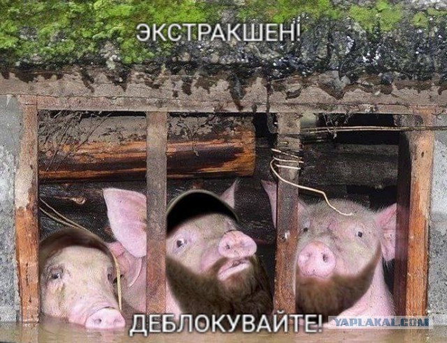 Когда уже экстракшн-то?