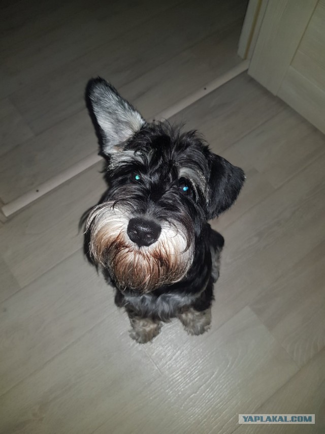 Измена Жены. Как с этим жить?!