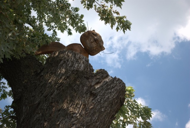 Поездка в Киев