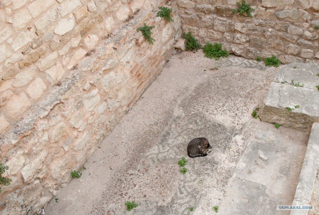 Поездка в Хорватию