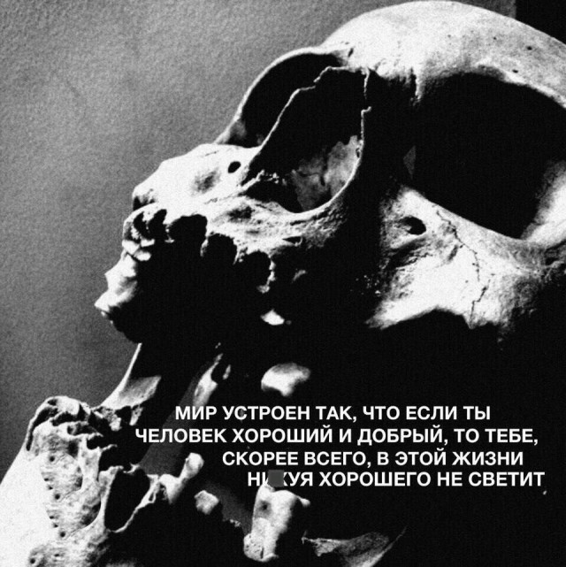 Немного мемчиков. Для взрослых. Часть 16