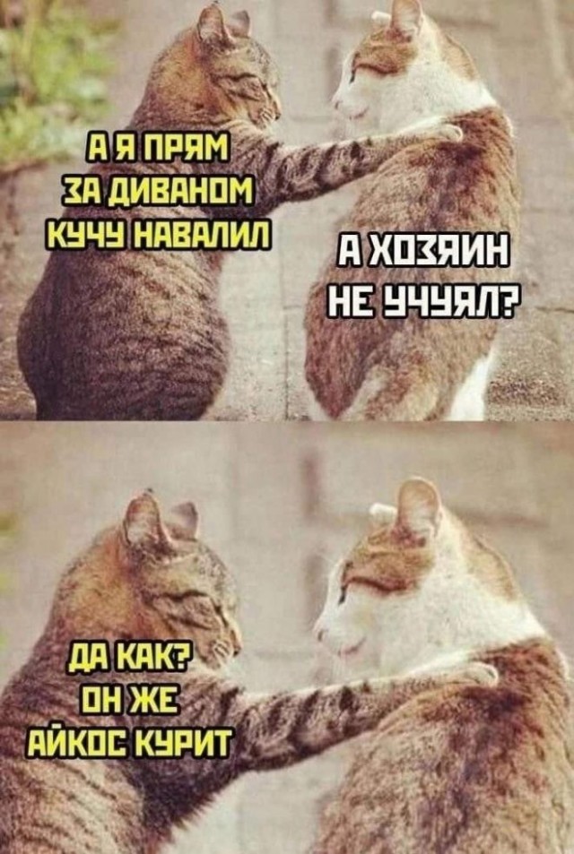 Немного картинок для настроения - 114