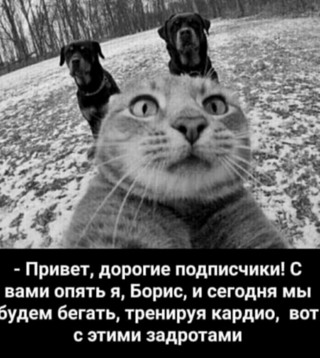 Картинки и мемы, всем хороших выходных