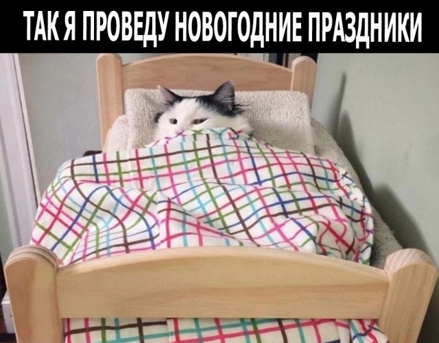 Так себе картинки 31.12.22