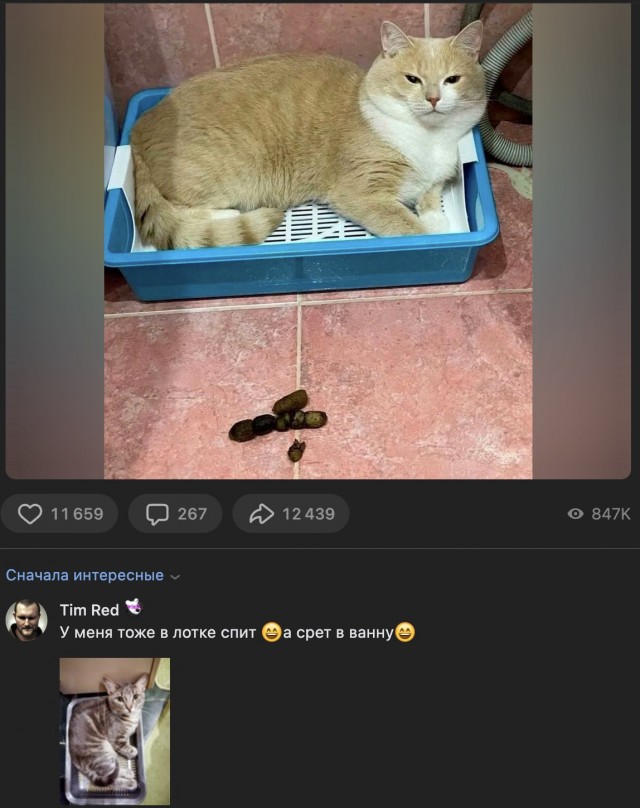 Картинки и мемы, выходные продолжаются