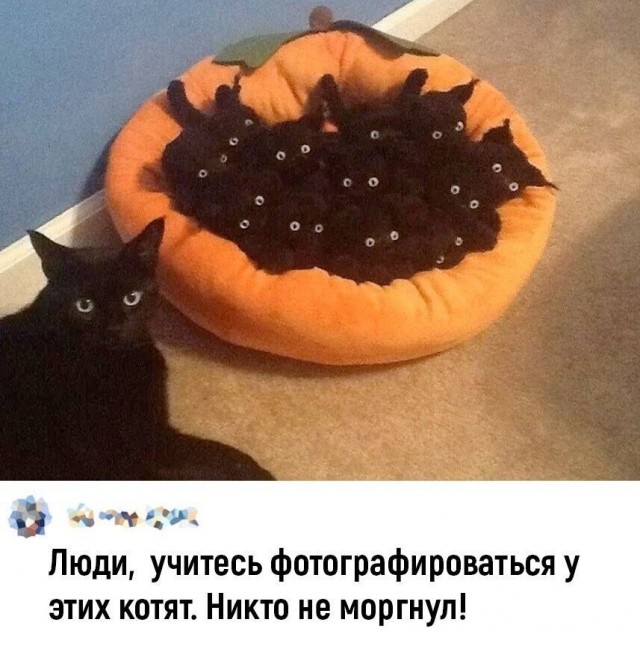 Юмор в картинках и без 10.01.2023