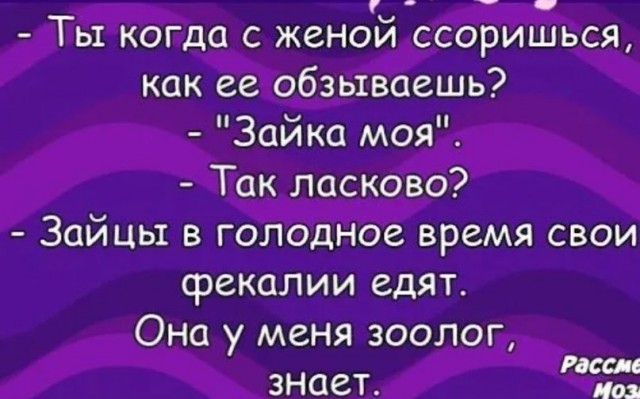 Заяц-русак: Сказка ложь! Ведь заяц совсем не трусливый и добрый, но настоящий боец, хитрец, а порой даже убийца