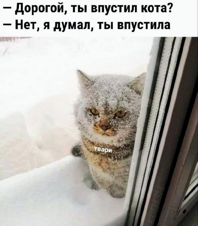 Немного картинок для настроения - 151