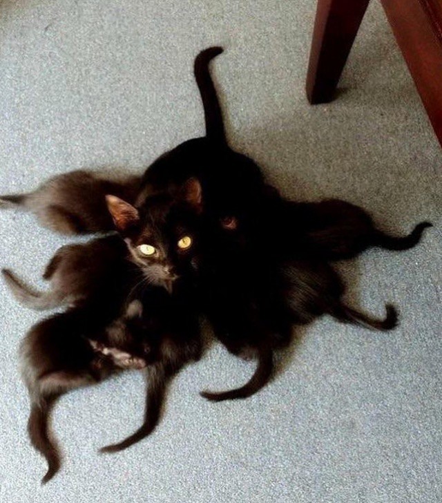 Подборка интересных и прикольных фото из Сети 01.04.23