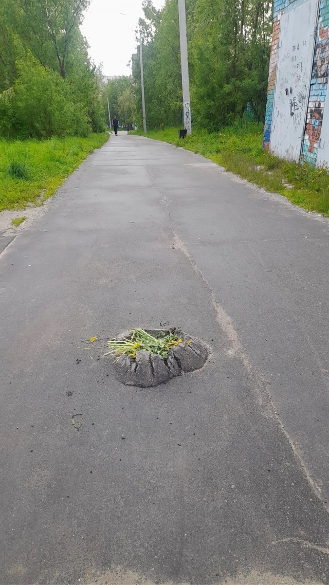 Так себе картинки 23.06.23