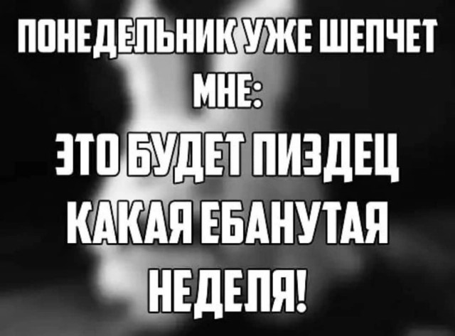 Так себе картинки 24.07.23